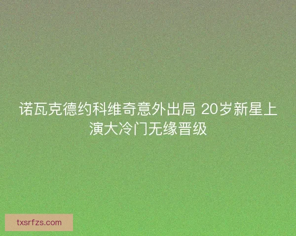 诺瓦克德约科维奇意外出局 20岁新星上演大冷门无缘晋级